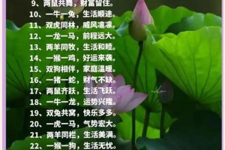 千娇百媚是什么生肖(千娇百媚是什么生肖)