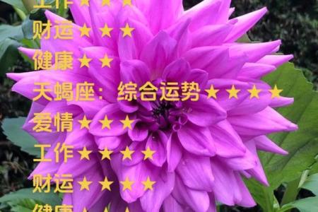 2025年4月6日天秤座运势(天秤座2021年4月6日运势)