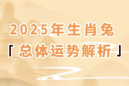 1987年属兔女2025年每月运势详解及运势提升指南