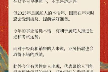 属兔人在蛇年的运势怎么样 属兔人蛇年运势解析财运事业感情全揭秘