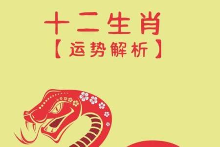 99年兔人2025年运程_1999年属兔未来5年运势