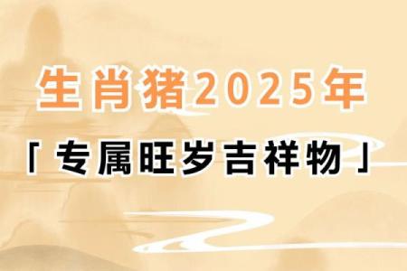 属猪今年几岁2025_属猪今年几岁了
