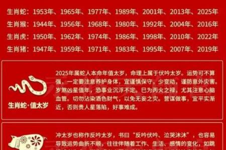 2025年属猪孽缘是谁_2025蛇年属猪披麻戴孝