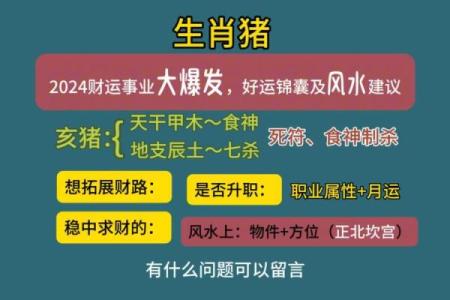 属猪的男人2025年运势_属猪男2023年运势及运程每月运程