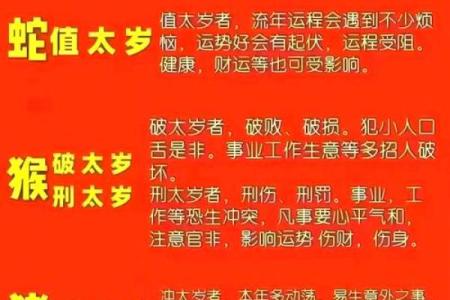 生肖猪2025年全年运势 2025年生肖猪全年运势详解财运事业爱情全面解析