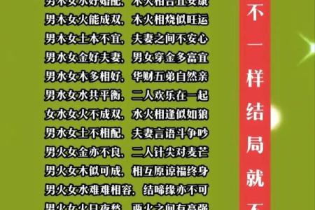 2002年属马人的命运_2002年属马人的命运怎么样