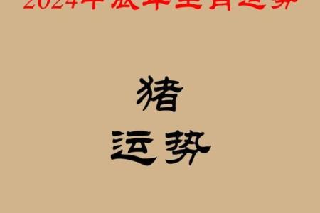 1983年属猪2025年运势 83年属猪25年运势