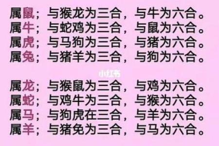 2002年属马的命运与婚姻_2002年属马一生婚姻