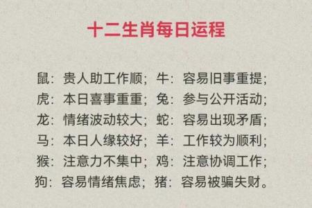 2025年属猪运势1971年生人_2025年属猪运势详解1971年生人全年运程预测