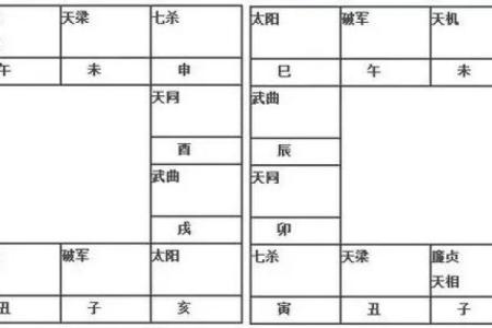 2025年4月4日子时男命紫微斗数全解盘