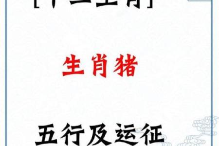 2025属猪人的全年运势如何1983 2025年属猪人全年运势解析1983年出生者运程详解