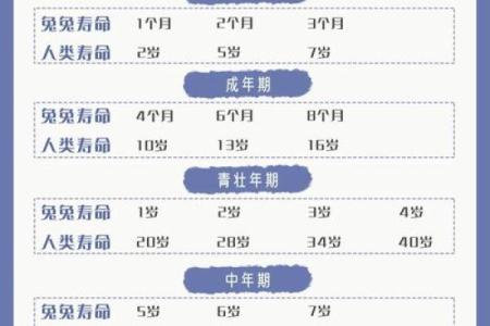 1999年属兔最佳结婚年龄