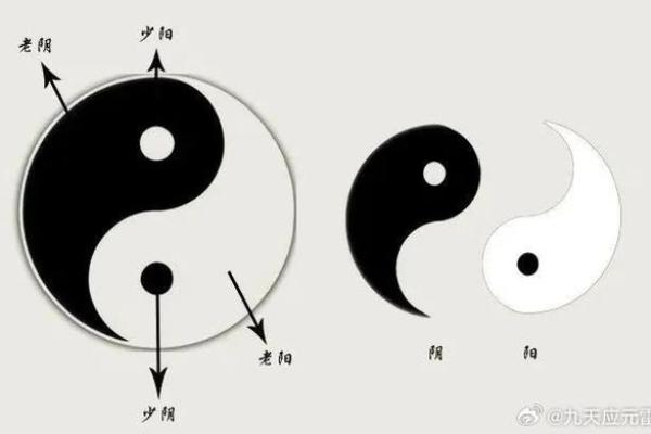 风水学：从入门到进阶，阴阳五行的相互关系与作用！