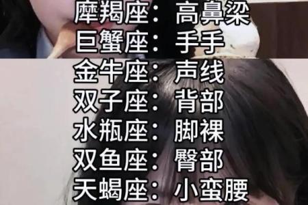 十二星座代表的仙女分别是谁？