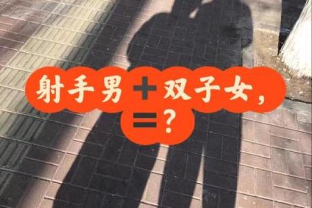 双子要跟哪个星座在一起最好