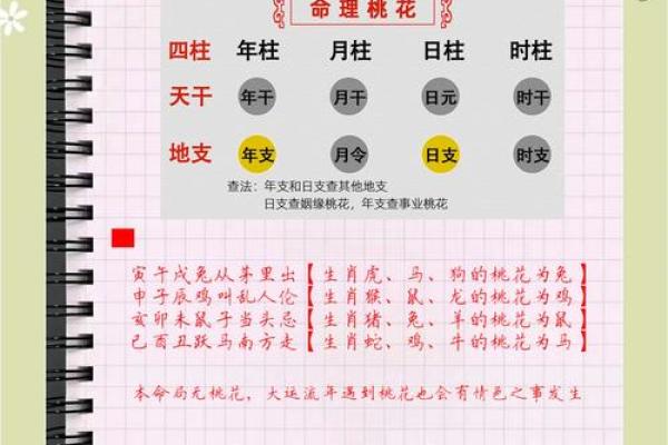 这些旺桃花风水布局安排起来 桃花运暴涨 父母再也不催婚