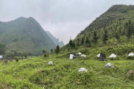 风水阴宅阳宅不和怎么办有什么办法调整