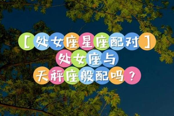 处女座跟哪个星座比较相配呢