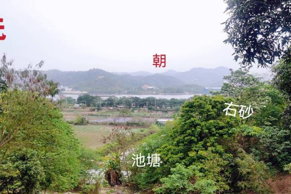 李嘉诚祖坟风水揭秘