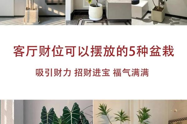 横财风水：女人是男人的财位吗