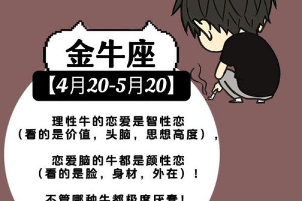12星座男怎么撩金牛男