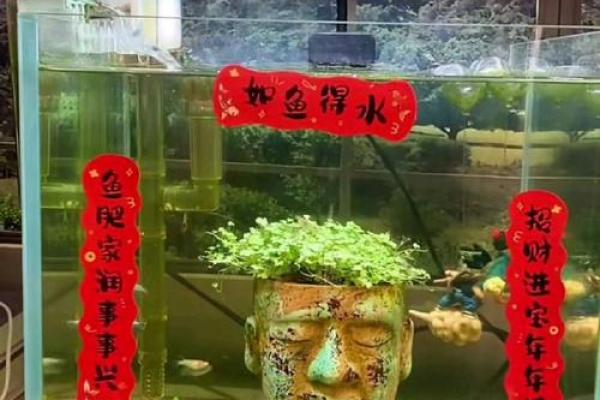 风水角度鱼从鱼缸里跳出来有什么寓意预兆