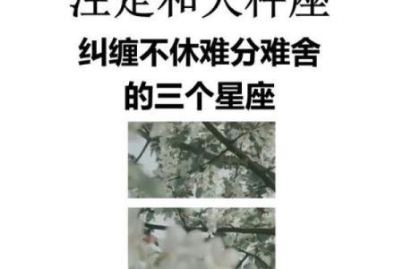 最不适合婚前同居的星座是什么