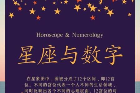 生命灵数星座数怎么算的