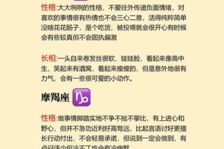 哪个星座适合当老伴