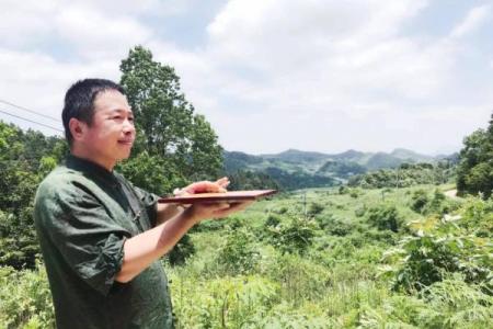 了解常见迁坟的十大忌讳注意事项风水