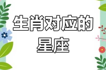 狼指十二生肖中的哪个星座