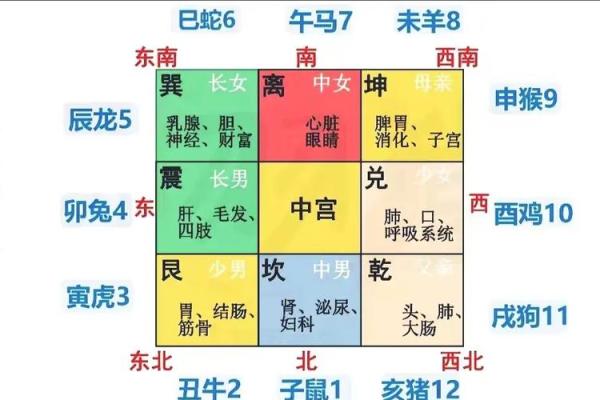 自己有病怎么看房子风水