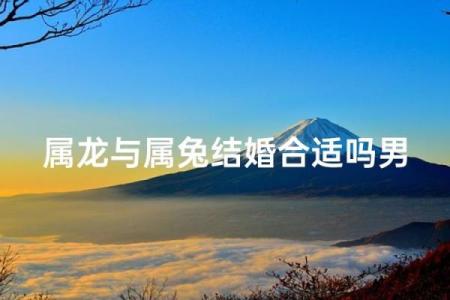 夫妻都属龙孩子属兔客厅挂什么画风水好-