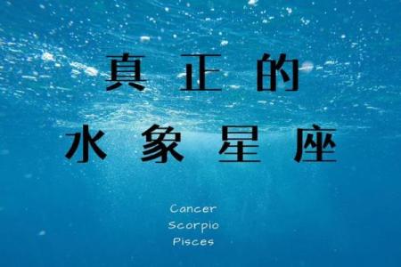 水象星座花钱大方吗
