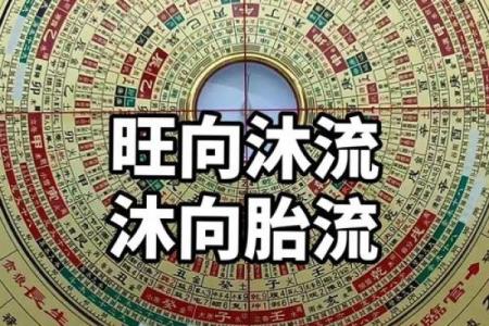 发散风水