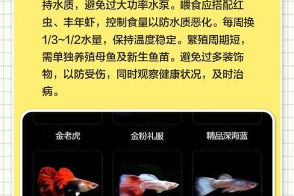 养鱼喜忌：家庭养鱼的风水讲究