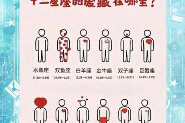 第一星座网准确吗