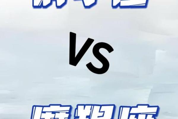 射手男永远打不过哪个星座女生