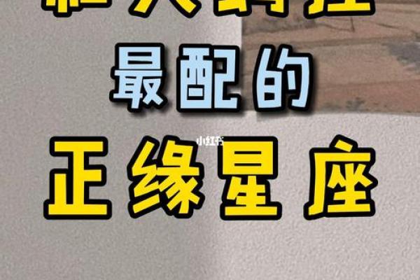 哪个星座女和天蝎女合得来财