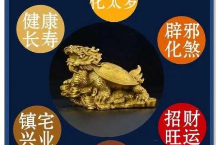 风水龙龟有什么作用的摆放方法及禁忌