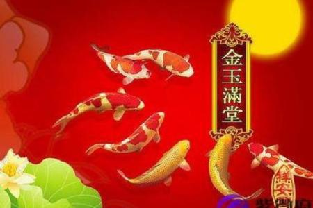 属兔人最适合养什么风水鱼？