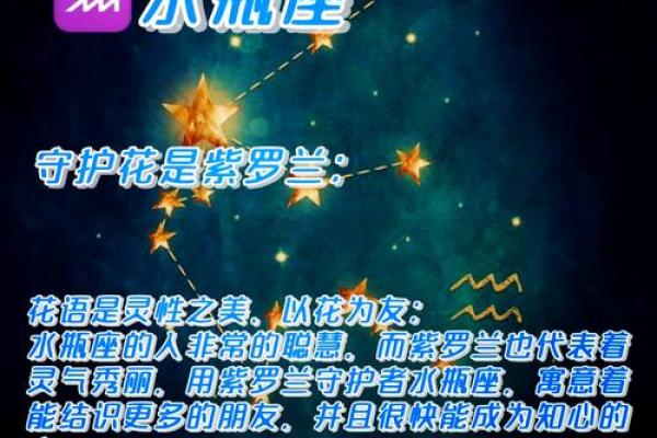十二星座最合适的花