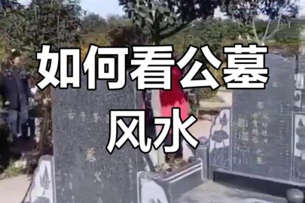 选择墓地如何看风水-
