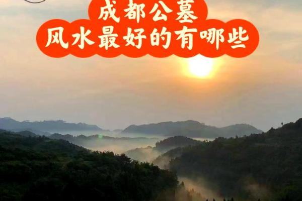 选择公墓时应考虑哪些风水因素？
