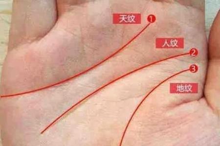 风水川字掌手相男人的命运解析