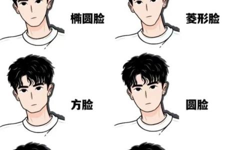 十二星座最适合怎样的发型男