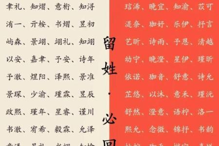 姓名风水_大家取名都是怎么取的啊