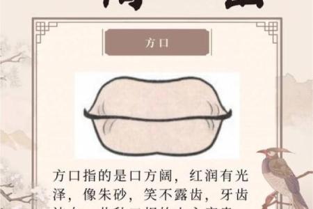风水女人面相嘴唇薄意味什么事情