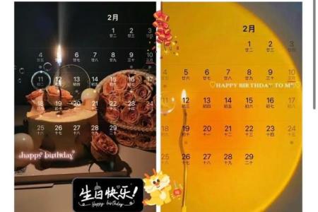 2月11日生日命运 二月十一日是什么星座