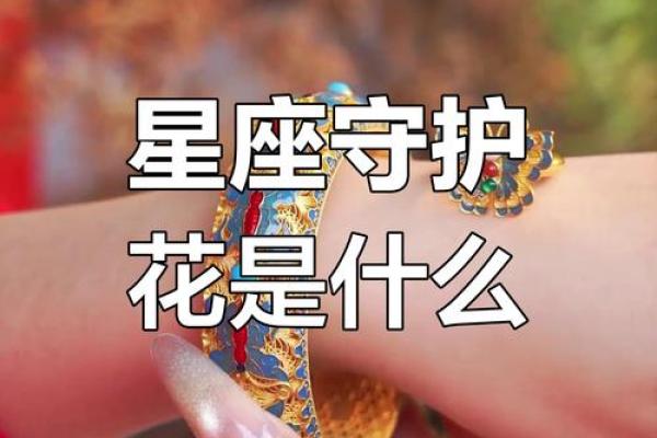 十二星座代表的守护花都有哪些呢